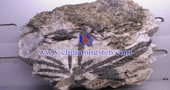 鎢精礦價格影響因素 鎢精礦圖片