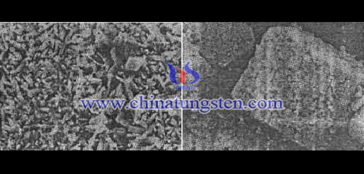左圖為γ-氧化鎢和二氧化鎢共存的顆粒形貌圖(×6000),右圖為二氧化鎢的顆粒形貌(×1000)