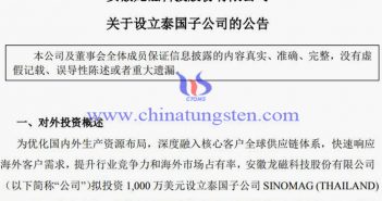 龍磁科技擬投資1000萬美元設立泰國子公司 龍磁科技擬投資1000萬美元設立泰國子公司公告