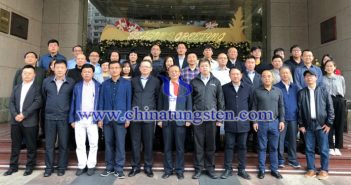 中國鎢業(yè)協(xié)會經貿研究分會在深圳召開行業(yè)形勢分析研討會