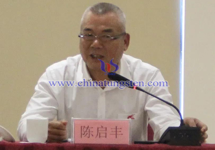 中國(guó)鎢業(yè)協(xié)會(huì)主席團(tuán)執(zhí)行主席、廣東翔鷺鎢業(yè)股份有限公司董事長(zhǎng)陳啟豐