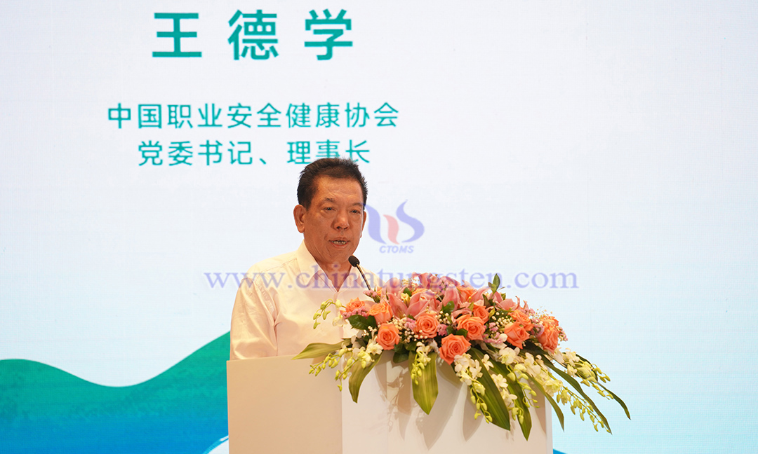 中國職業(yè)安全健康協(xié)會黨委書記、理事長 王德學
