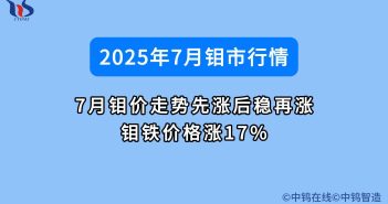 7月鉬價走勢先漲后穩(wěn)再漲 鉬鐵價格漲17% 7月鉬價如何